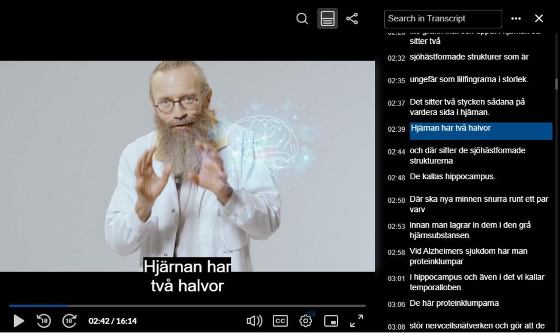 Blocks of subtitles are visible in a video window in GU Play.
